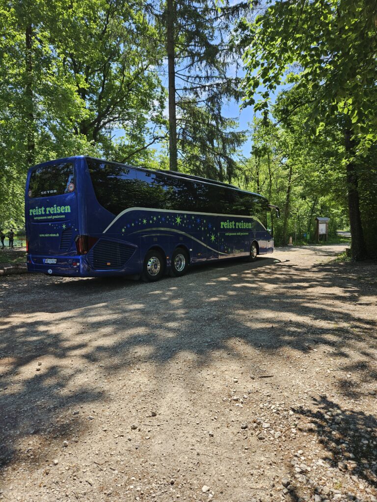 Car parkiert auf Waldstrasse